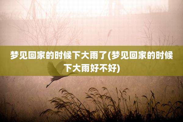 梦见回家的时候下大雨了(梦见回家的时候下大雨好不好)