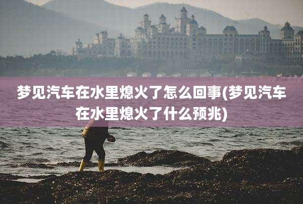 梦见汽车在水里熄火了怎么回事(梦见汽车在水里熄火了什么预兆)