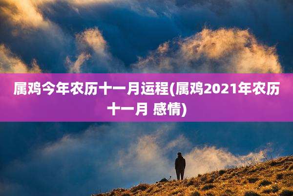 属鸡今年农历十一月运程(属鸡2021年农历十一月 感情)