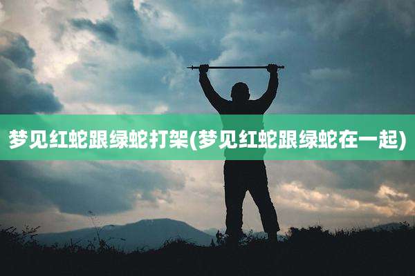 梦见红蛇跟绿蛇打架(梦见红蛇跟绿蛇在一起)