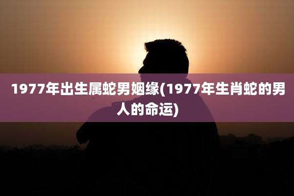 1977年出生属蛇男姻缘(1977年生肖蛇的男人的命运)