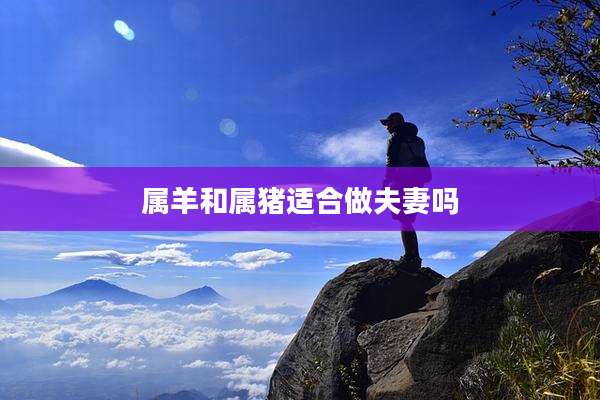 属羊和属猪适合做夫妻吗