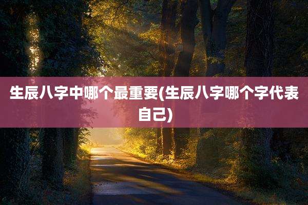 生辰八字中哪个最重要(生辰八字哪个字代表自己)