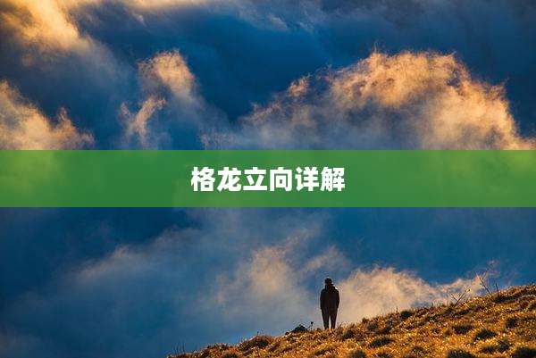 格龙立向详解
