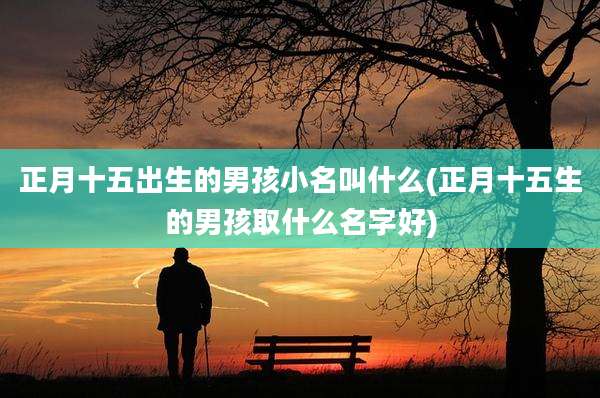 正月十五出生的男孩小名叫什么(正月十五生的男孩取什么名字好)
