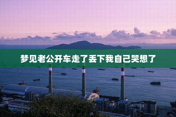 梦见老公开车走了丢下我自己哭想了