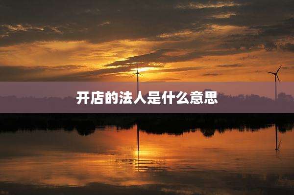 开店的法人是什么意思