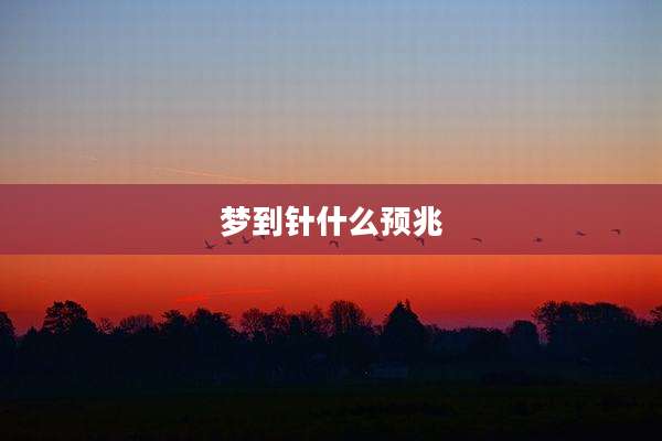 梦到针什么预兆