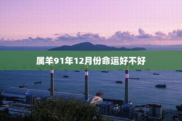 属羊91年12月份命运好不好