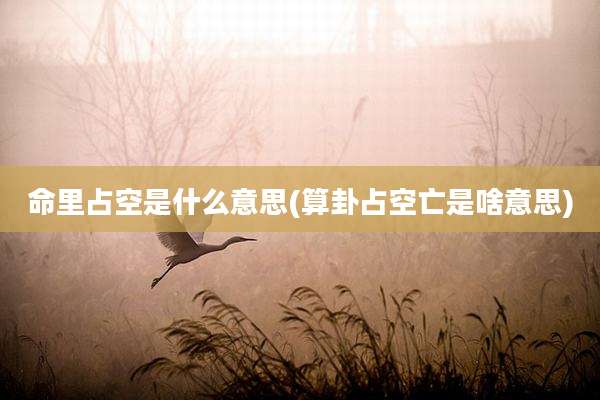 命里占空是什么意思(算卦占空亡是啥意思)