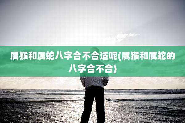属猴和属蛇八字合不合适呢(属猴和属蛇的八字合不合)