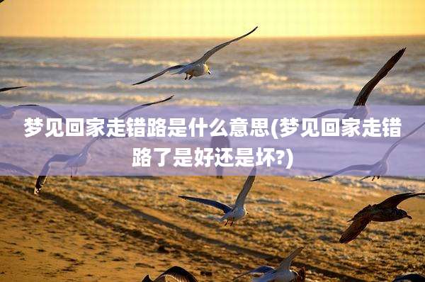梦见回家走错路是什么意思(梦见回家走错路了是好还是坏?)