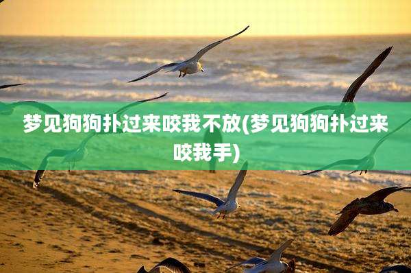 梦见狗狗扑过来咬我不放(梦见狗狗扑过来咬我手)