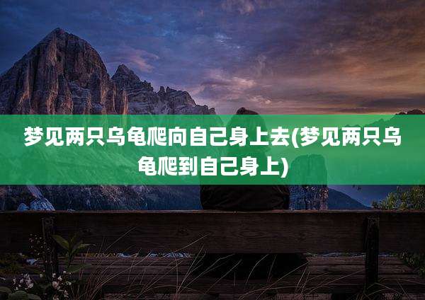 梦见两只乌龟爬向自己身上去(梦见两只乌龟爬到自己身上)