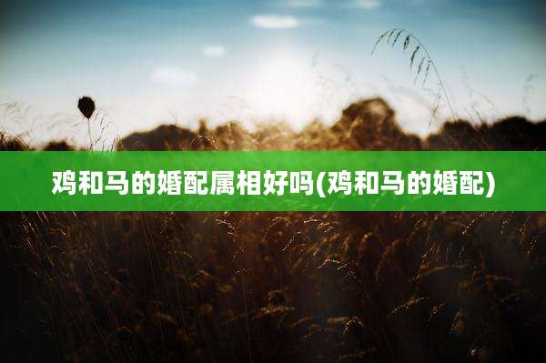 鸡和马的婚配属相好吗(鸡和马的婚配)