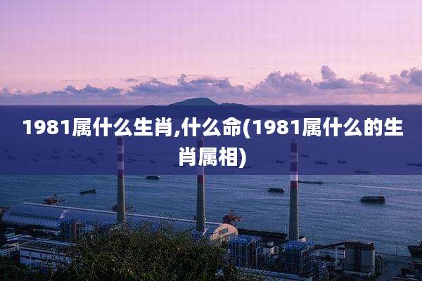 1981属什么生肖,什么命(1981属什么的生肖属相)
