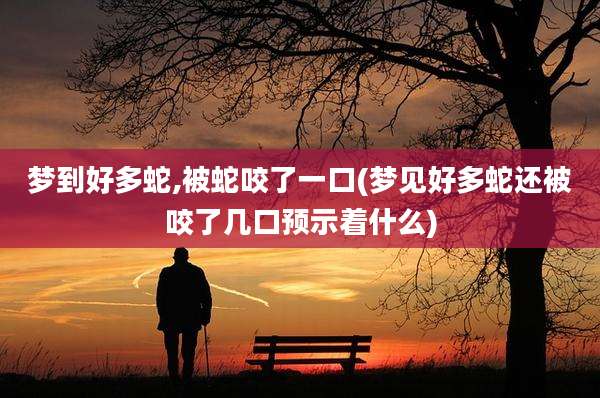 梦到好多蛇,被蛇咬了一口(梦见好多蛇还被咬了几口预示着什么)