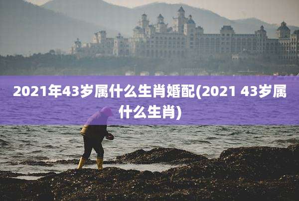 2021年43岁属什么生肖婚配(2021 43岁属什么生肖)