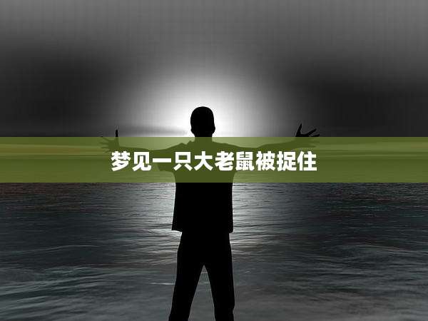梦见一只大老鼠被捉住