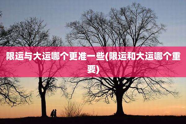 限运与大运哪个更准一些(限运和大运哪个重要)