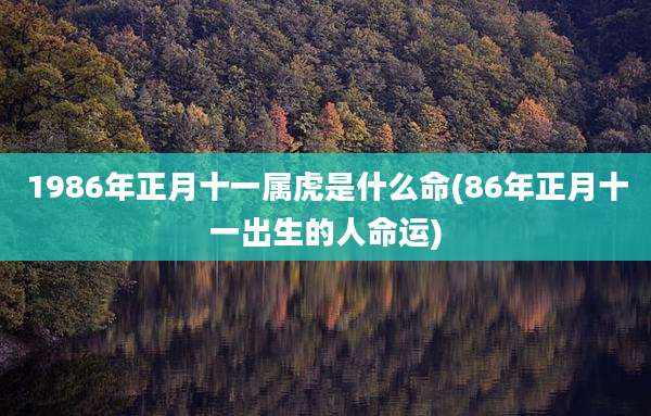 1986年正月十一属虎是什么命(86年正月十一出生的人命运)