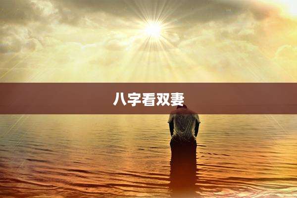 八字看双妻