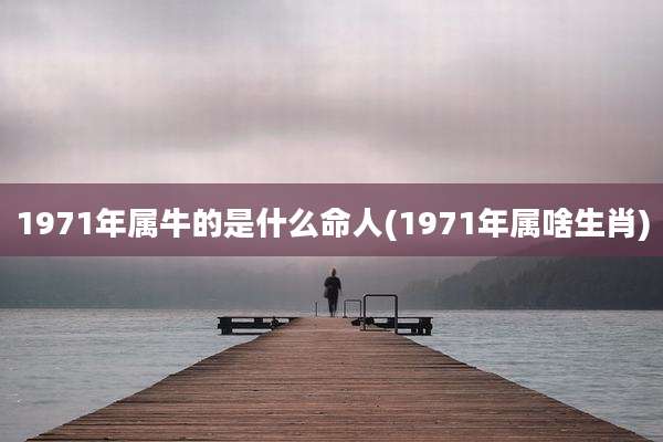 1971年属牛的是什么命人(1971年属啥生肖)