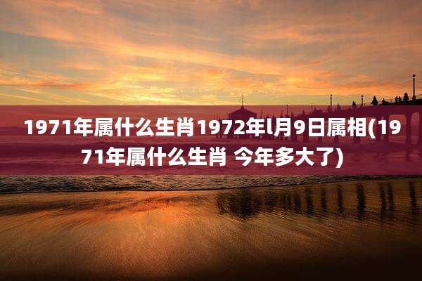 1971年属什么生肖1972年l月9日属相(1971年属什么生肖 今年多大了)