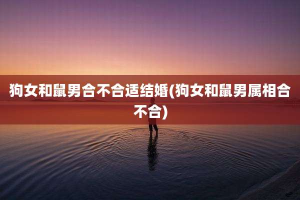 狗女和鼠男合不合适结婚(狗女和鼠男属相合不合)