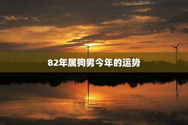 82年属狗男今年的运势