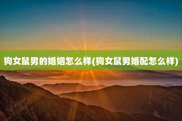 狗女鼠男的婚姻怎么样(狗女鼠男婚配怎么样)