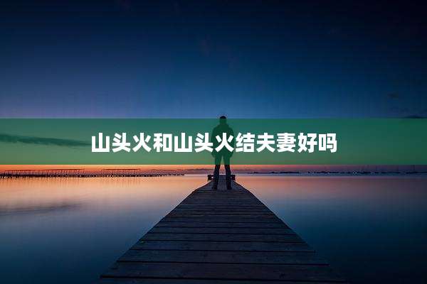 山头火和山头火结夫妻好吗