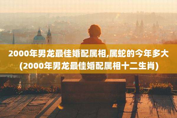 2000年男龙最佳婚配属相,属蛇的今年多大(2000年男龙最佳婚配属相十二生肖)