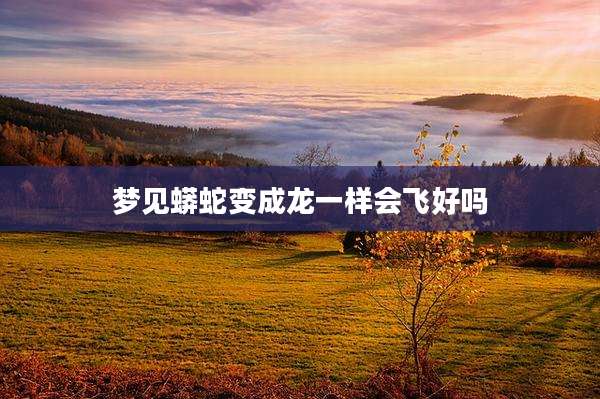 梦见蟒蛇变成龙一样会飞好吗