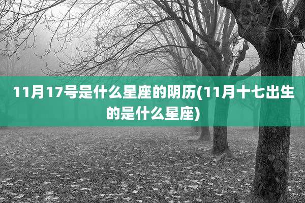 11月17号是什么星座的阴历(11月十七出生的是什么星座)