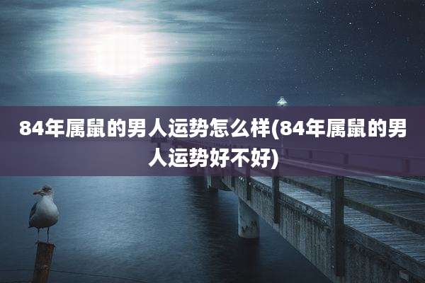 84年属鼠的男人运势怎么样(84年属鼠的男人运势好不好)