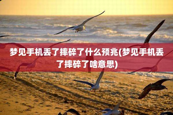 梦见手机丢了摔碎了什么预兆(梦见手机丢了摔碎了啥意思)
