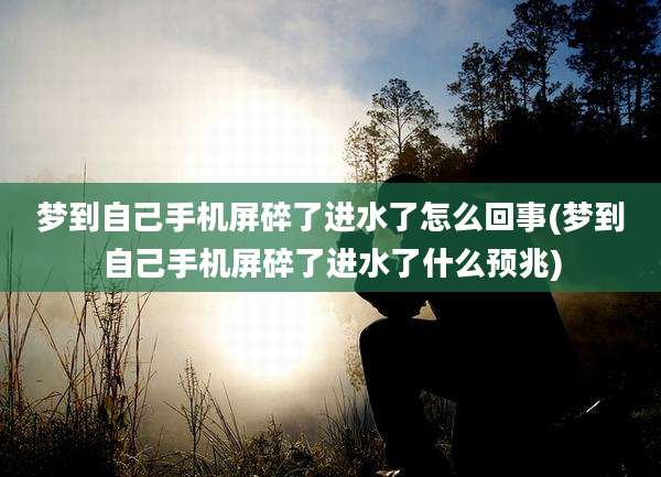 梦到自己手机屏碎了进水了怎么回事(梦到自己手机屏碎了进水了什么预兆)