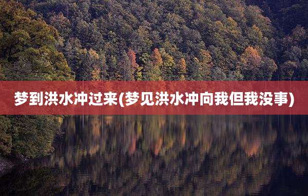 梦到洪水冲过来(梦见洪水冲向我但我没事)