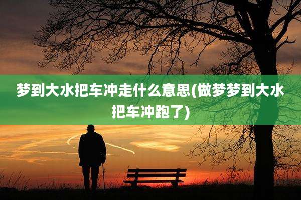 梦到大水把车冲走什么意思(做梦梦到大水把车冲跑了)