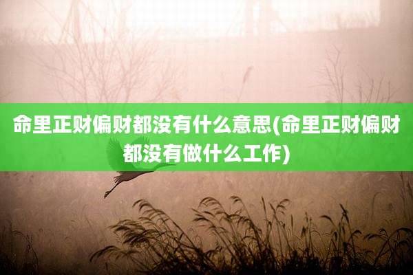 命里正财偏财都没有什么意思(命里正财偏财都没有做什么工作)