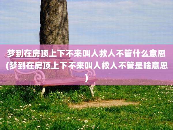 梦到在房顶上下不来叫人救人不管什么意思(梦到在房顶上下不来叫人救人不管是啥意思)