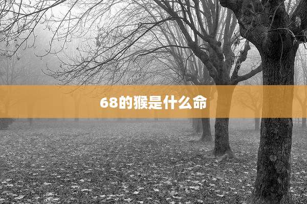 68的猴是什么命