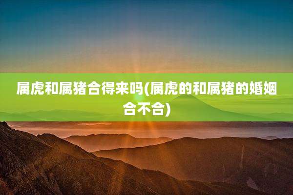 属虎和属猪合得来吗(属虎的和属猪的婚姻合不合)