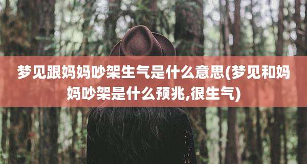梦见跟妈妈吵架生气是什么意思(梦见和妈妈吵架是什么预兆,很生气)