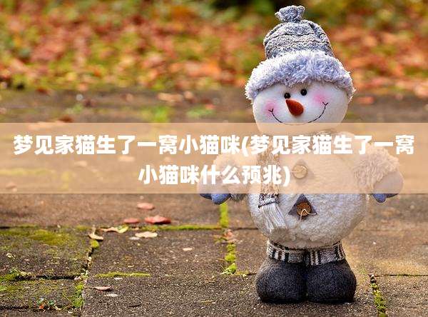 梦见家猫生了一窝小猫咪(梦见家猫生了一窝小猫咪什么预兆)