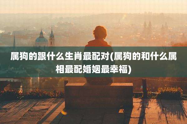 属狗的跟什么生肖最配对(属狗的和什么属相最配婚姻最幸福)