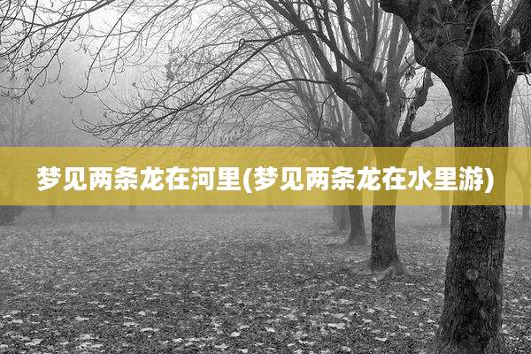 梦见两条龙在河里(梦见两条龙在水里游)