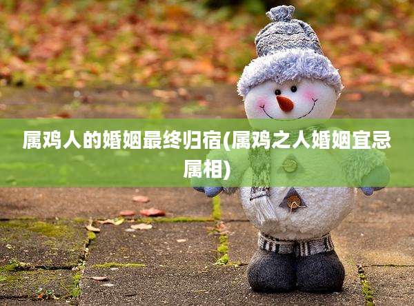 属鸡人的婚姻最终归宿(属鸡之人婚姻宜忌属相)