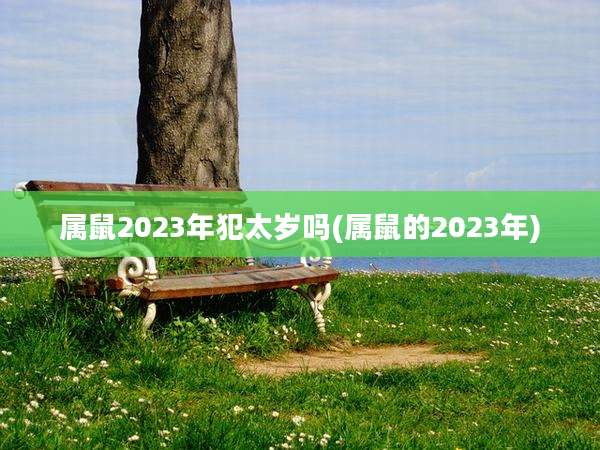 属鼠2023年犯太岁吗(属鼠的2023年)